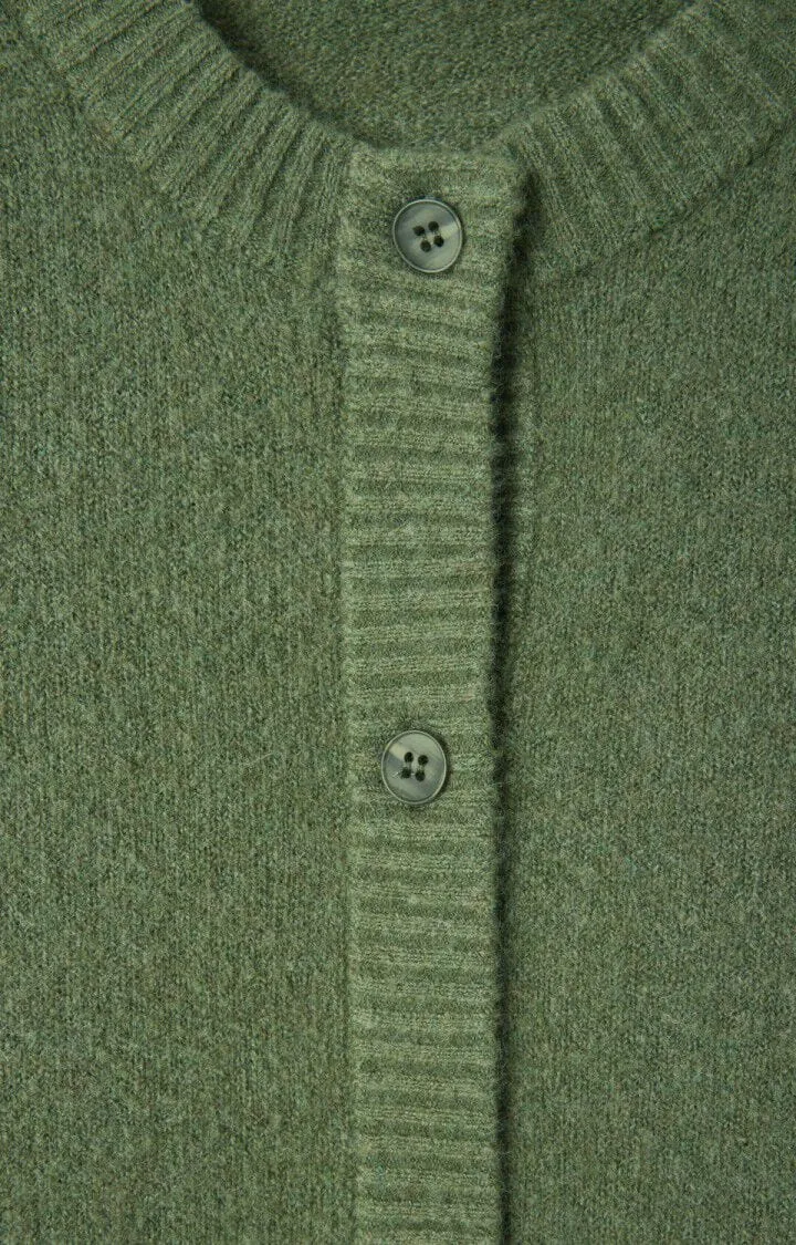 American Vintage Damsville Cardigan in Turtle Green